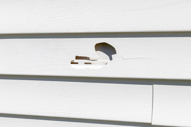 Best Vinyl Siding Installation  in Monroe, NC